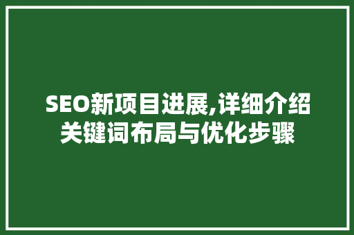 SEO新项目进展,详细介绍关键词布局与优化步骤  第1张