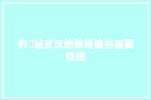 豹澥站武汉地铁网络的重要枢纽