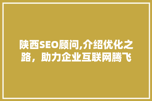 陕西SEO顾问,介绍优化之路，助力企业互联网腾飞