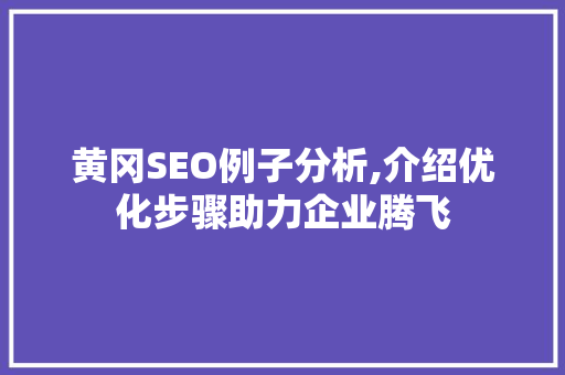 黄冈SEO例子分析,介绍优化步骤助力企业腾飞