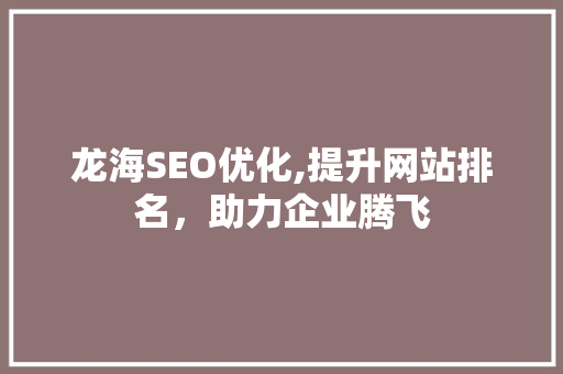 龙海SEO优化,提升网站排名，助力企业腾飞
