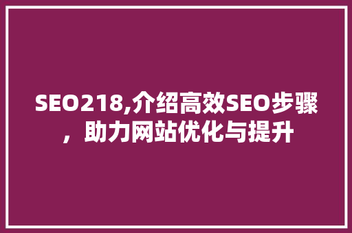 SEO218,介绍高效SEO步骤，助力网站优化与提升