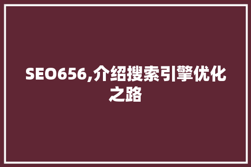 SEO656,介绍搜索引擎优化之路