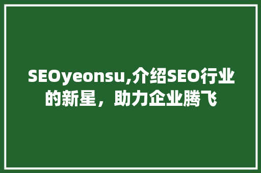 SEOyeonsu,介绍SEO行业的新星，助力企业腾飞