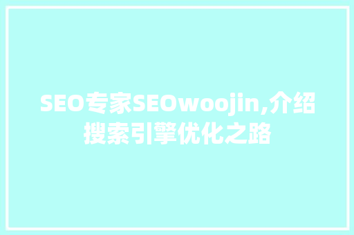 SEO专家SEOwoojin,介绍搜索引擎优化之路