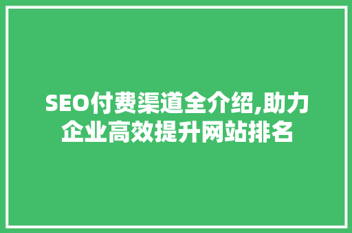 SEO付费渠道全介绍,助力企业高效提升网站排名