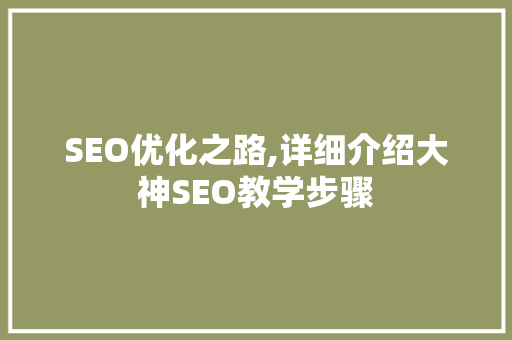SEO优化之路,详细介绍大神SEO教学步骤