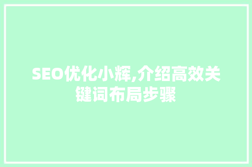SEO优化小辉,介绍高效关键词布局步骤