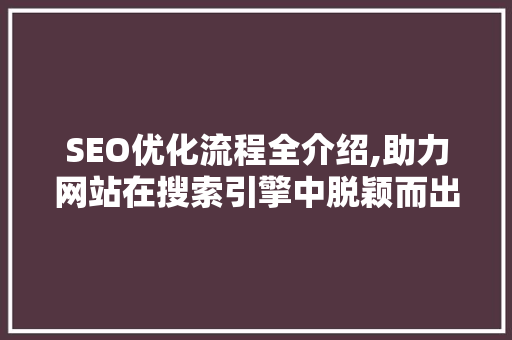 SEO优化流程全介绍,助力网站在搜索引擎中脱颖而出