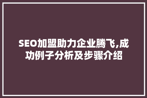 SEO加盟助力企业腾飞,成功例子分析及步骤介绍