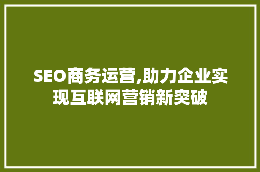 SEO商务运营,助力企业实现互联网营销新突破