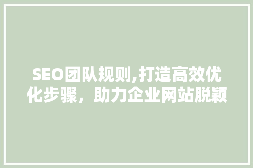 SEO团队规则,打造高效优化步骤，助力企业网站脱颖而出