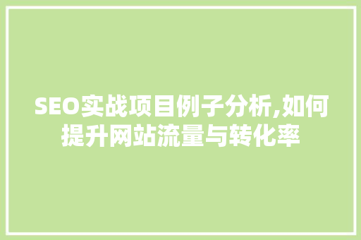 SEO实战项目例子分析,如何提升网站流量与转化率