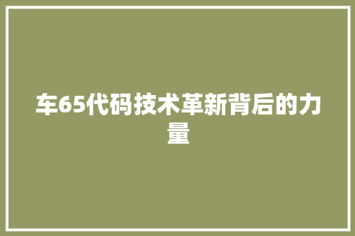 车65代码技术革新背后的力量
