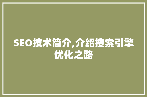 SEO技术简介,介绍搜索引擎优化之路