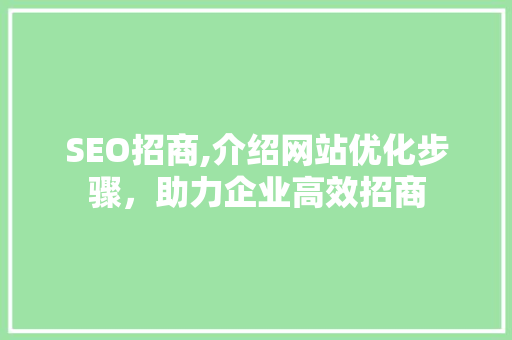 SEO招商,介绍网站优化步骤，助力企业高效招商