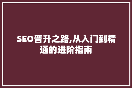 SEO晋升之路,从入门到精通的进阶指南