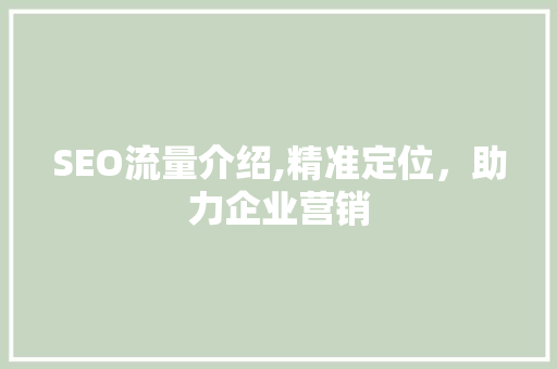 SEO流量介绍,精准定位，助力企业营销