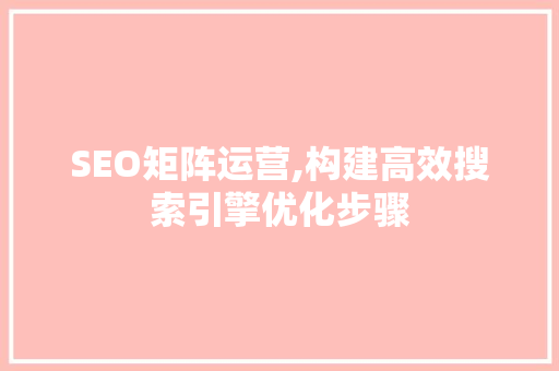 SEO矩阵运营,构建高效搜索引擎优化步骤
