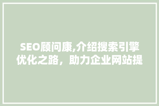 SEO顾问康,介绍搜索引擎优化之路，助力企业网站提升排名