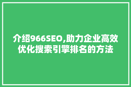 介绍966SEO,助力企业高效优化搜索引擎排名的方法