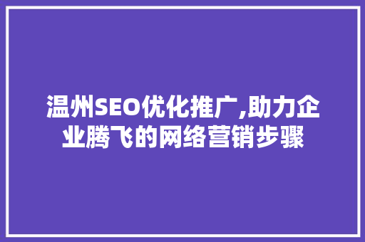 温州SEO优化推广,助力企业腾飞的网络营销步骤