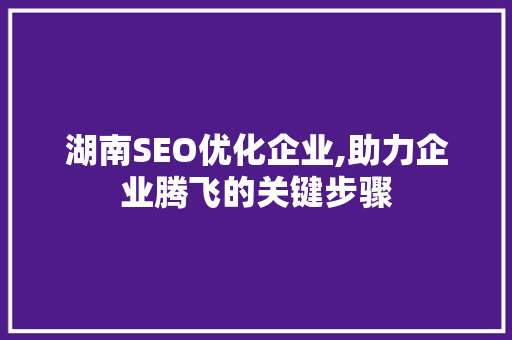 湖南SEO优化企业,助力企业腾飞的关键步骤  第1张