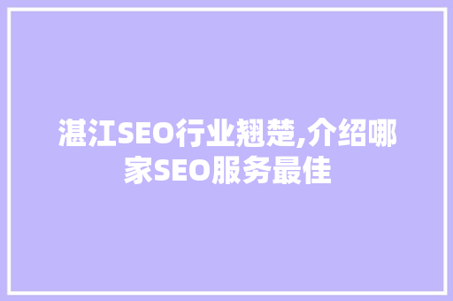 湛江SEO行业翘楚,介绍哪家SEO服务最佳