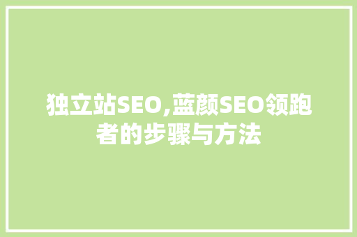 独立站SEO,蓝颜SEO领跑者的步骤与方法