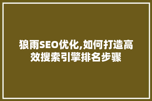 狼雨SEO优化,如何打造高效搜索引擎排名步骤