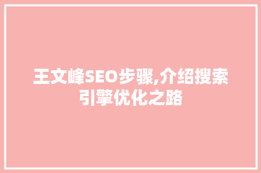 王文峰SEO步骤,介绍搜索引擎优化之路