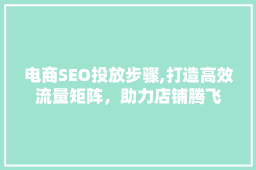 电商SEO投放步骤,打造高效流量矩阵，助力店铺腾飞