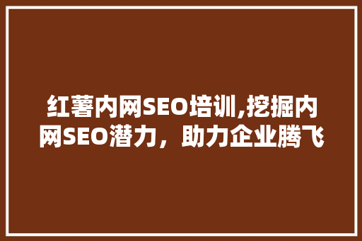 红薯内网SEO培训,挖掘内网SEO潜力，助力企业腾飞