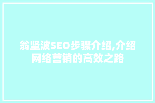 翁坚波SEO步骤介绍,介绍网络营销的高效之路