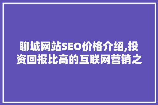 聊城网站SEO价格介绍,投资回报比高的互联网营销之路  第1张