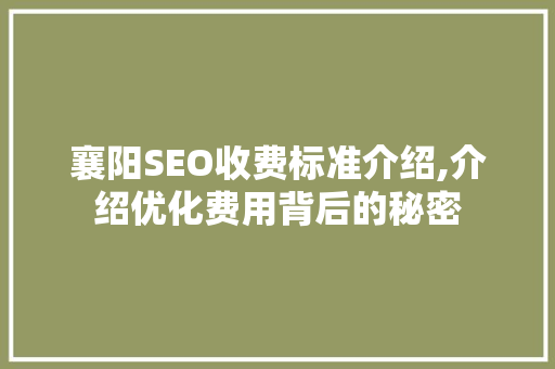 襄阳SEO收费标准介绍,介绍优化费用背后的秘密
