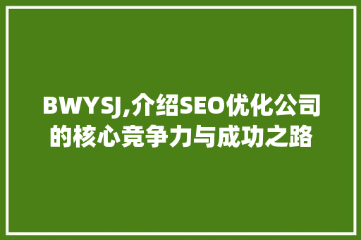 BWYSJ,介绍SEO优化公司的核心竞争力与成功之路  第1张