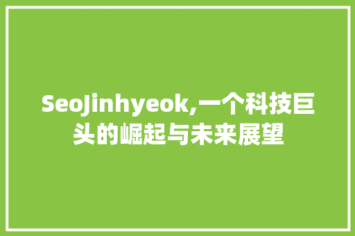 SeoJinhyeok,一个科技巨头的崛起与未来展望