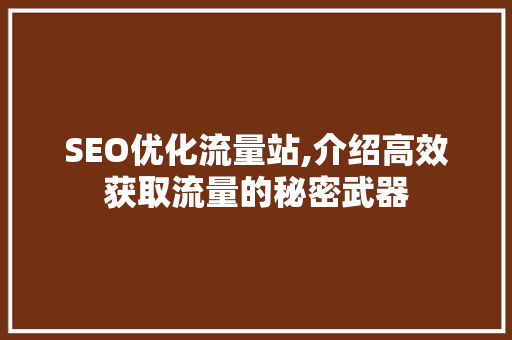 SEO优化流量站,介绍高效获取流量的秘密武器