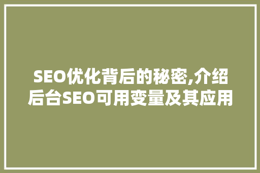 SEO优化背后的秘密,介绍后台SEO可用变量及其应用