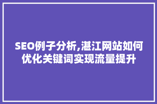 SEO例子分析,湛江网站如何优化关键词实现流量提升