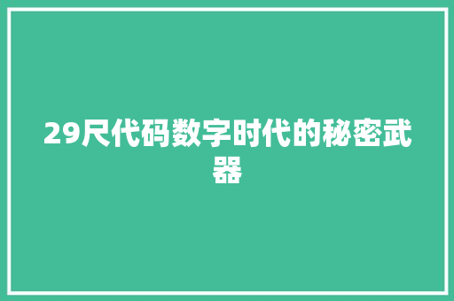 29尺代码数字时代的秘密武器