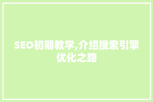 SEO初期教学,介绍搜索引擎优化之路