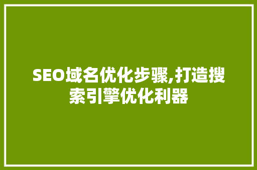 SEO域名优化步骤,打造搜索引擎优化利器