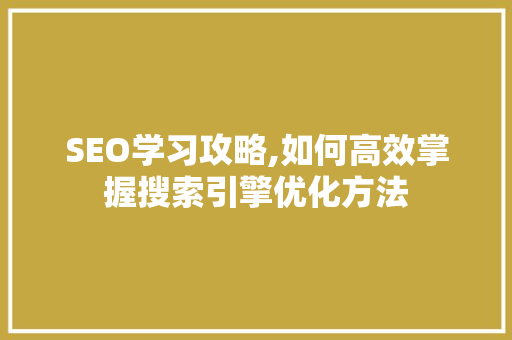 SEO学习攻略,如何高效掌握搜索引擎优化方法