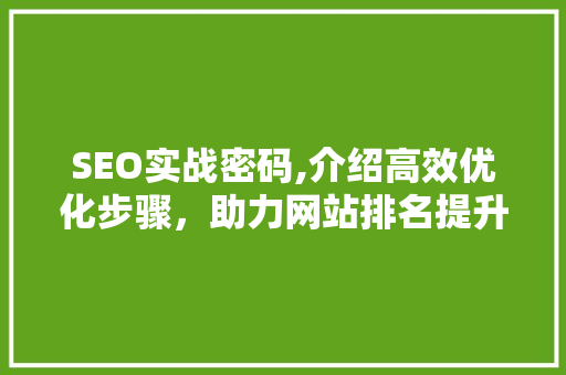 SEO实战密码,介绍高效优化步骤，助力网站排名提升
