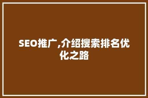 SEO推广,介绍搜索排名优化之路