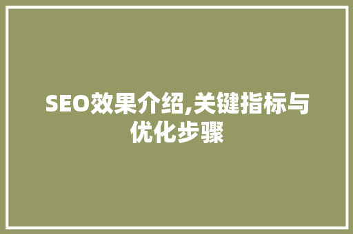 SEO效果介绍,关键指标与优化步骤