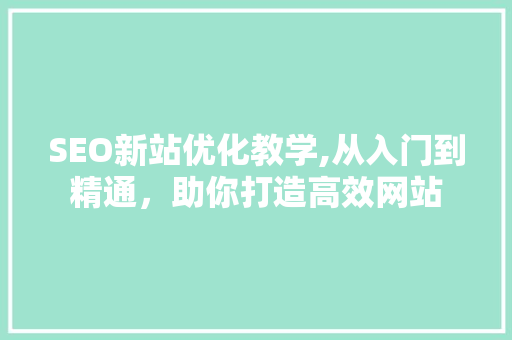 SEO新站优化教学,从入门到精通，助你打造高效网站