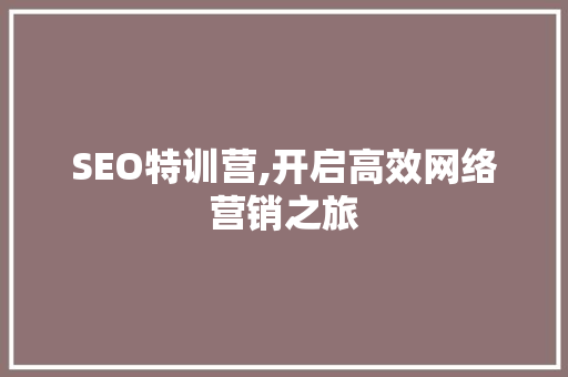 SEO特训营,开启高效网络营销之旅